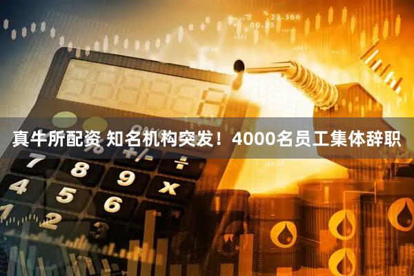 真牛所配资 知名机构突发！4000名员工集体辞职
