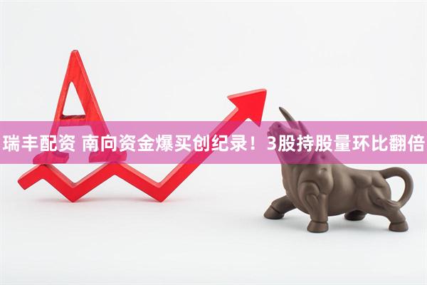 瑞丰配资 南向资金爆买创纪录！3股持股量环比翻倍