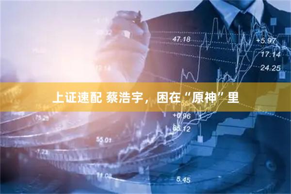 上证速配 蔡浩宇，困在“原神”里